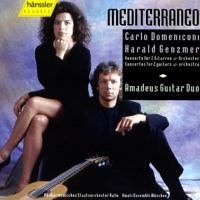Concerto for 2 guitars & orchestra in G major: III. Vivace Cadence