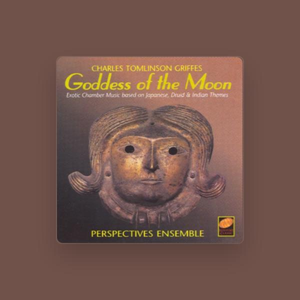 Perspectives Ensemble