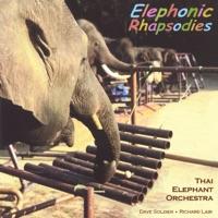 A Child's Guide to the Elephant Orchestra