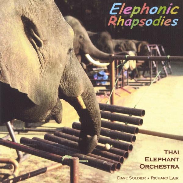 A Child's Guide to the Elephant Orchestra