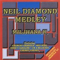 Neil Diamond Megamix (Instrumental mix)