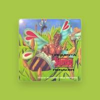 Orquesta Yambo