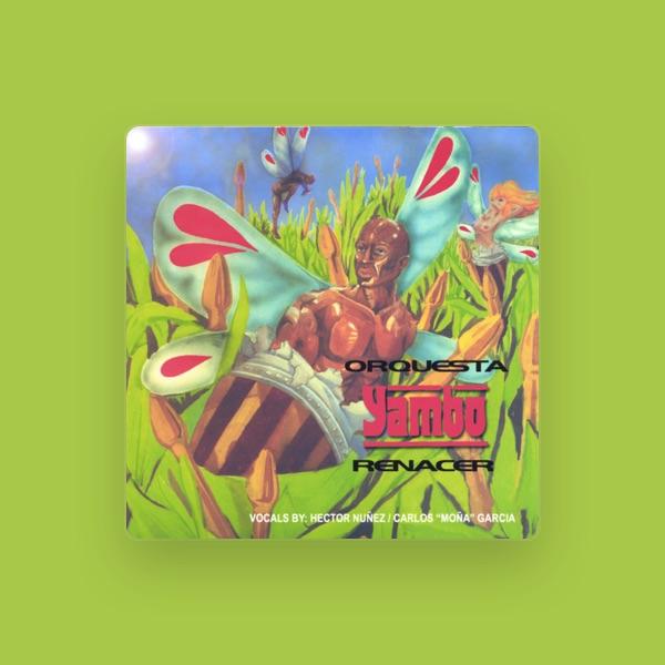Orquesta Yambo