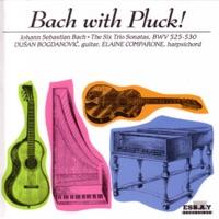 Trio Sonata No. 3 in D Minor, BWV 527: III. Vivace