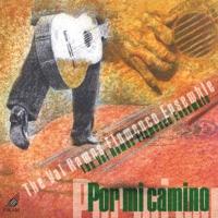 Bonus Track: Por Mi Camino (instrumental Version)