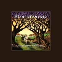 Blackthorn