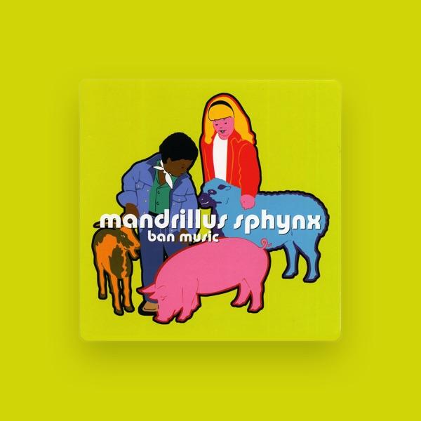 mandrillus sphynx
