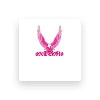 Ascii.Disko