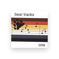 Bear Tracks