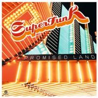 Promised Land (Cold Rush Remix)