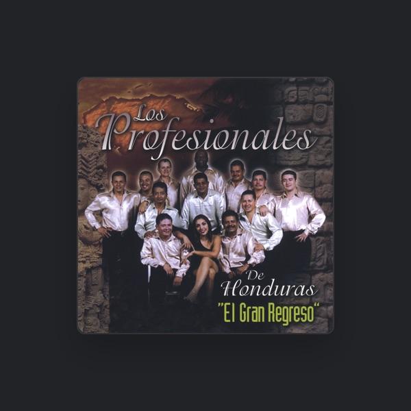 Los Profesionales