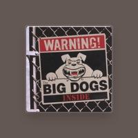 The BIG DOGS
