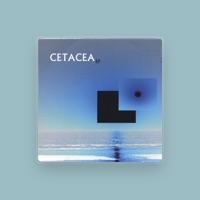Cetacea
