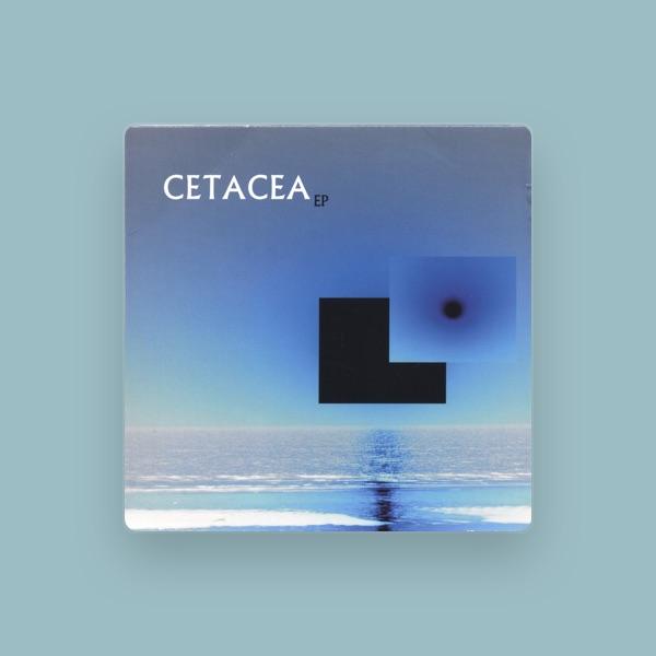 Cetacea