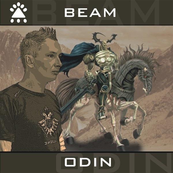 Odin (Michael Urgacz VS Sean Tyas Remix)