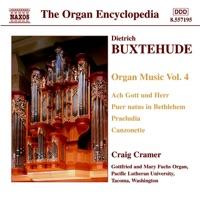 Toccata in D minor, BuxWV 155 