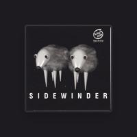 Sidewinder (DJ SpankinSPOCK)