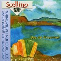 Frühlingssonnenschein