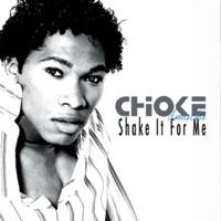 Shake It for Me (Album Version)