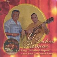 Perdon y Paz en Navidad
