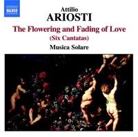 Trio Sonata in D Major, RV 84: III. Allegro