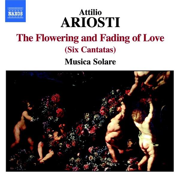 Trio Sonata in D Major, RV 84: II. Andante 