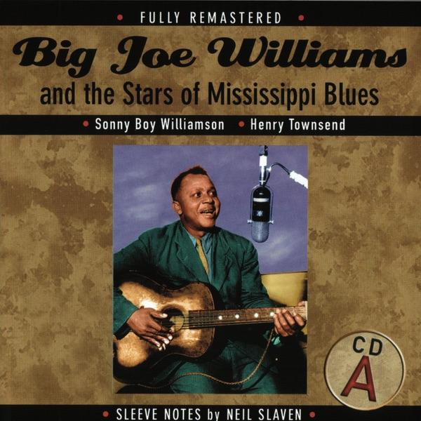 49 Highway Blues