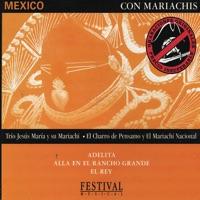 La Feria de las Flores