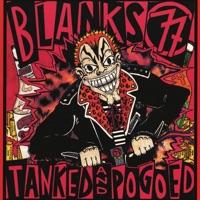 I Wanna Be a Punk