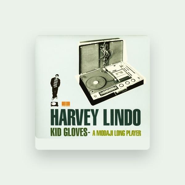 HARVEY LINDO