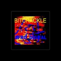 Bit Crackle