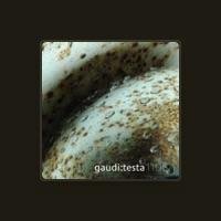 Gaudi & Antonio Testa