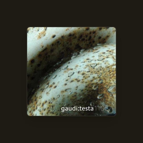 Gaudi & Antonio Testa