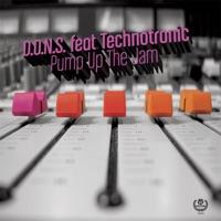 Pump Up the Jam (DJ Flex and Sandy Vee Remix)