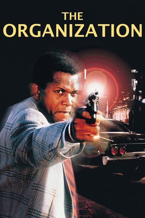 夜の大捜査線/霧のストレンジャー