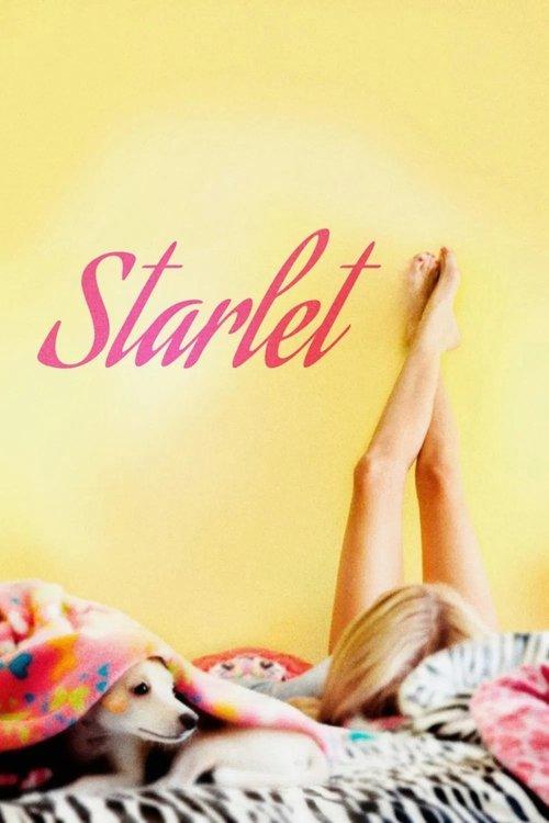 スターレット