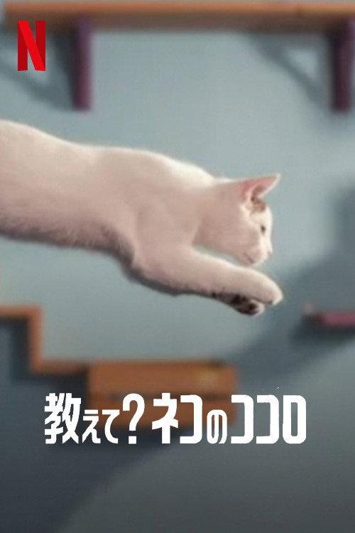 教えて? ネコのココロ