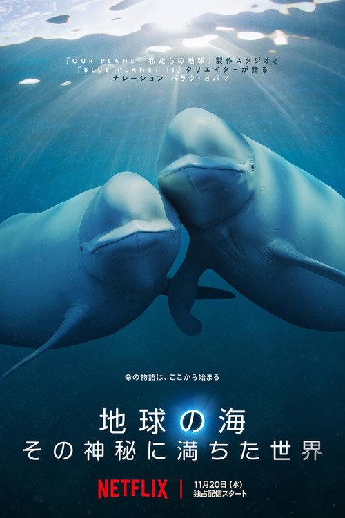地球の海: その神秘に満ちた世界
