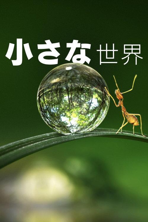 小さな世界