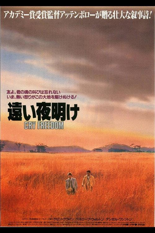 遠い夜明け