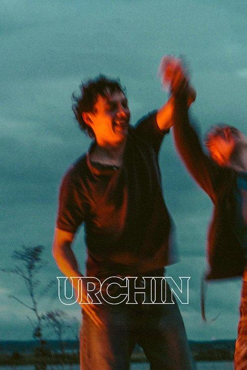 URCHIN/アーチン